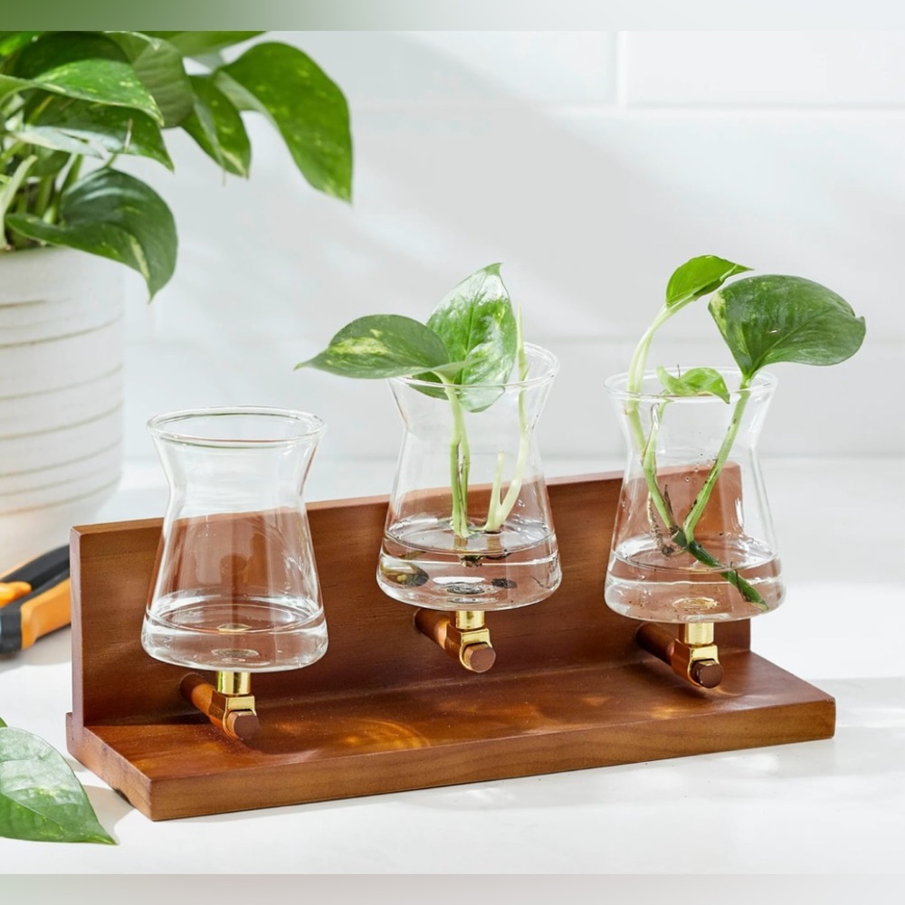 THREE Better Homes & Gardens 3 Beaker Propagation Station, Natural Wood & Clea…